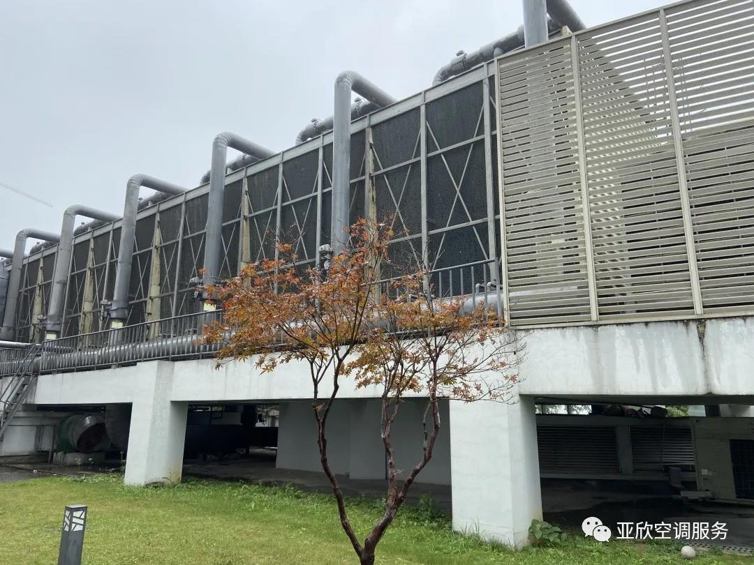 云顶国际学院 | 带各人看看大型中央空调系统(图6)